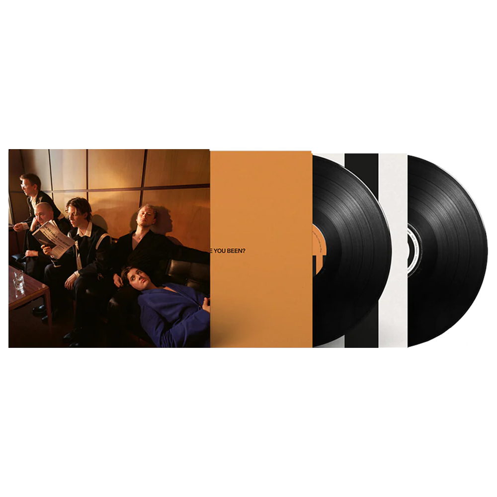 How Have You Been 2LP VIEW