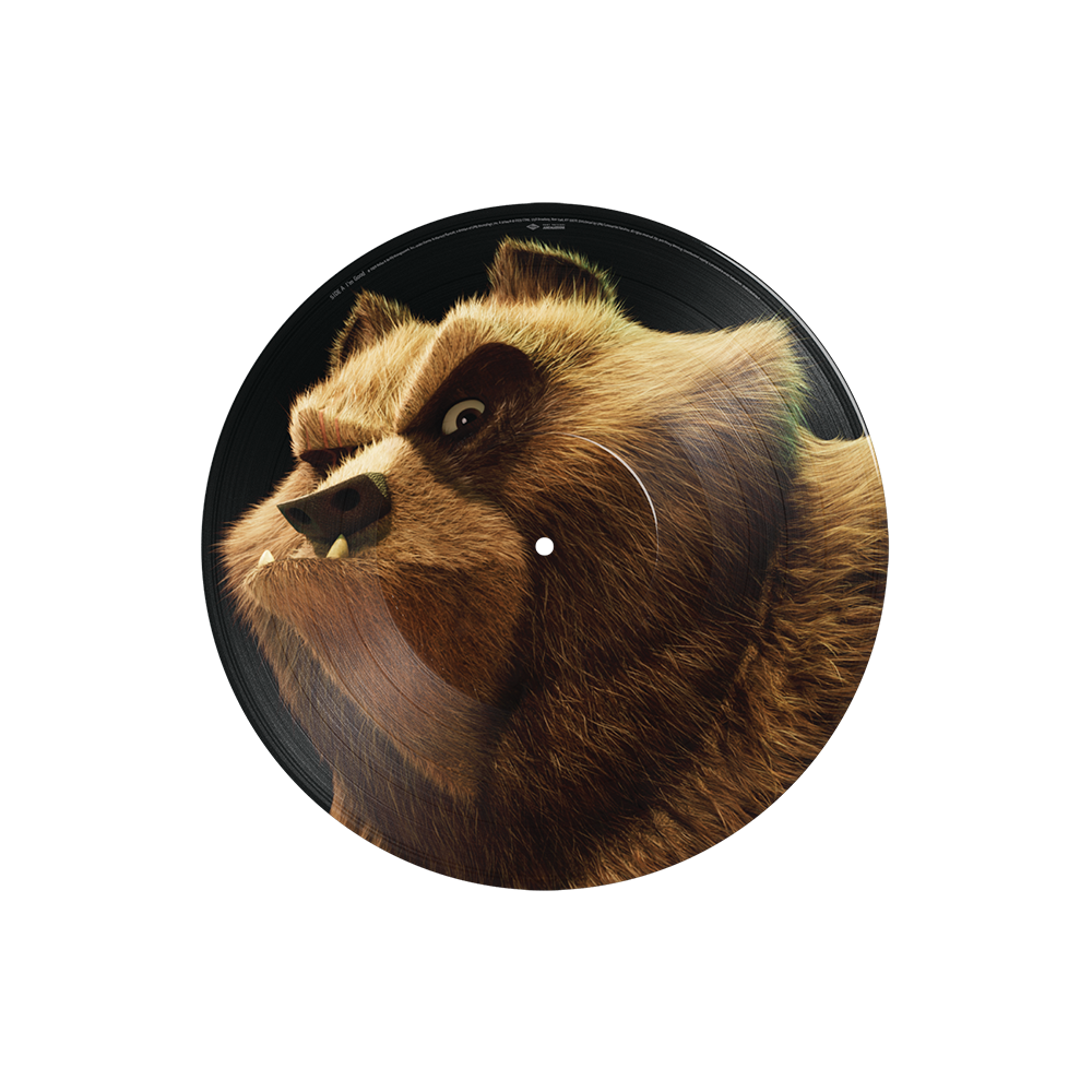 I'm Good Grizz Picture Disc Side A