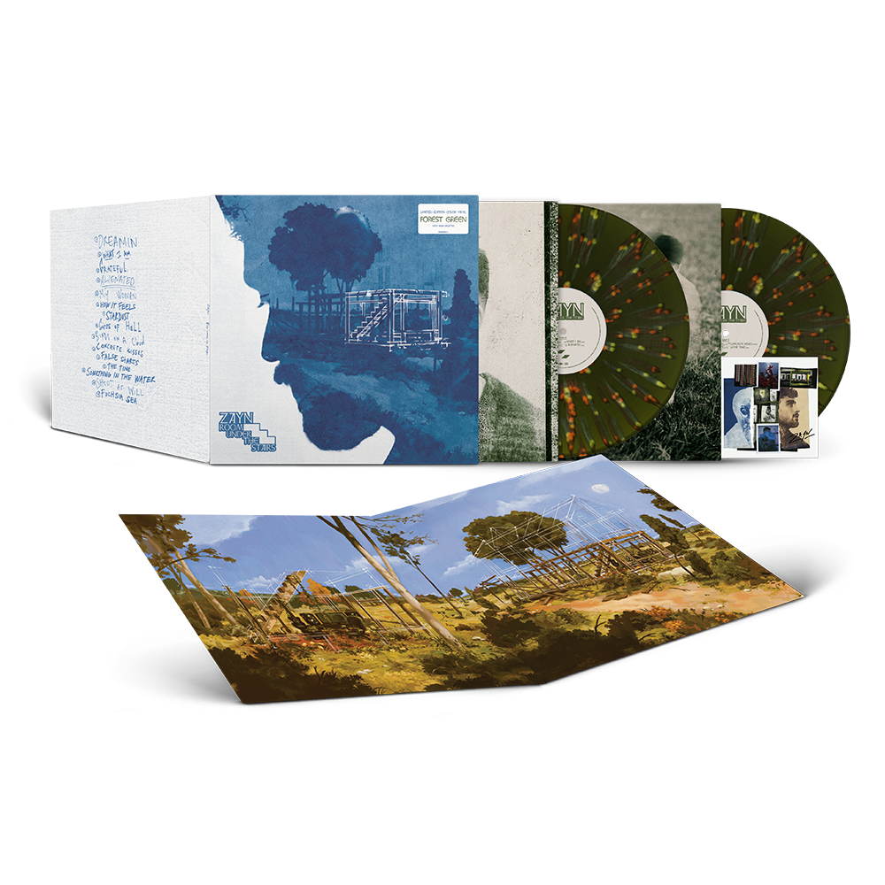 Room Under The Stairs (Signed) 2LP