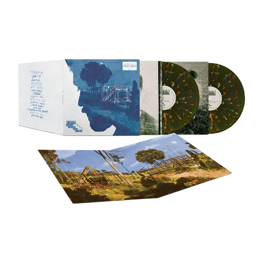 Room Under The Stairs Signed 2LP Details