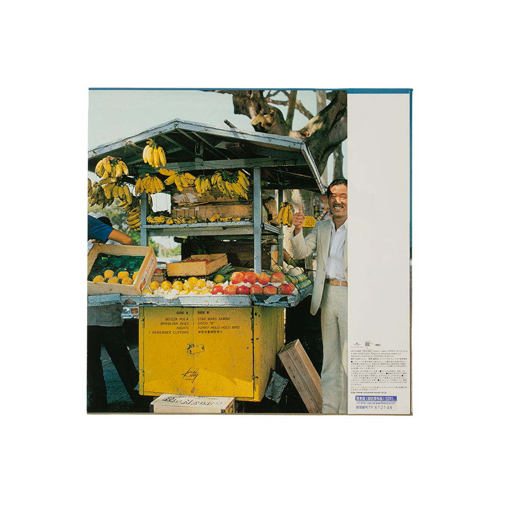 Brasilian Skies Vinyl Back