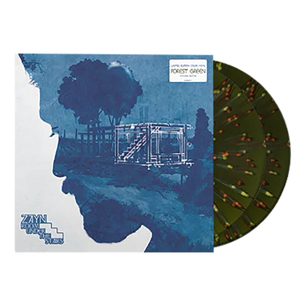 Room Under The Stairs 2LP